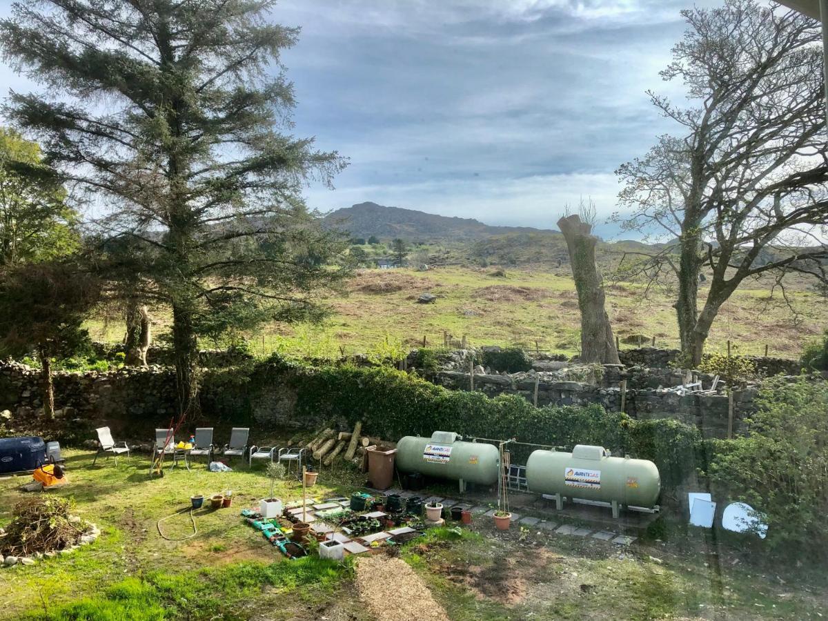 Spacious Garden Flat In Snowdonia National Park Daire Brynkir Dış mekan fotoğraf